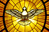 800px-Gian_Lorenzo_Bernini_-_Dove_of_the_Holy_Spirit
