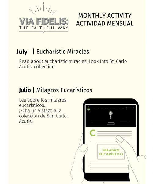 july via fidelis 2026
